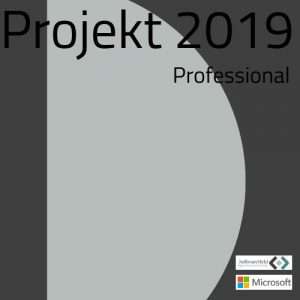 Project Professional 2019 Neu