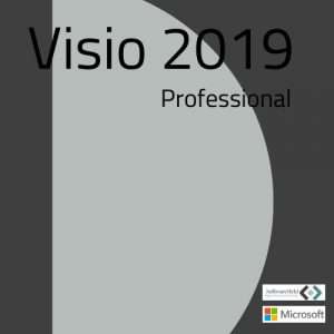 Visio Professional 2019 Neu
