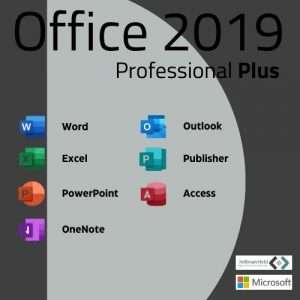 Professional Plus 2019 LTSC 1 PC