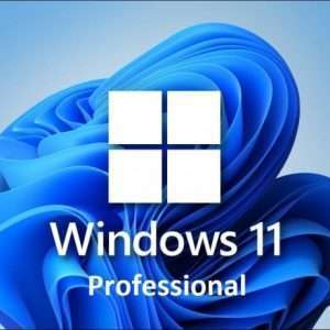 Windows 11 Professional