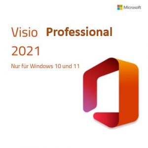 Visio 2021 Pro für 2 PC Retail