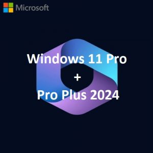 Windows 11 Professional – Professional Plus 2024