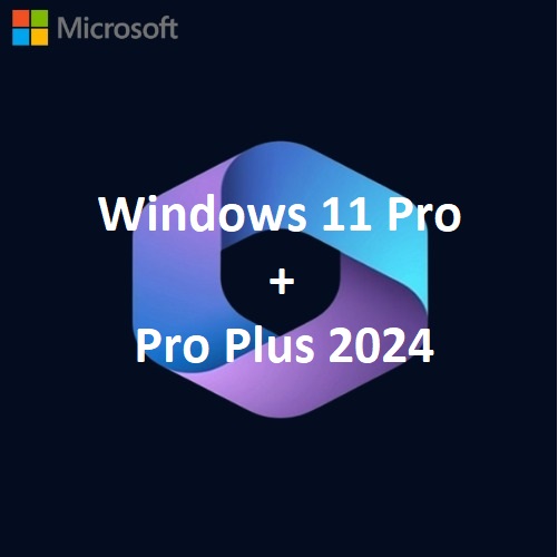 Windows 11 Professional – Professional Plus 2024